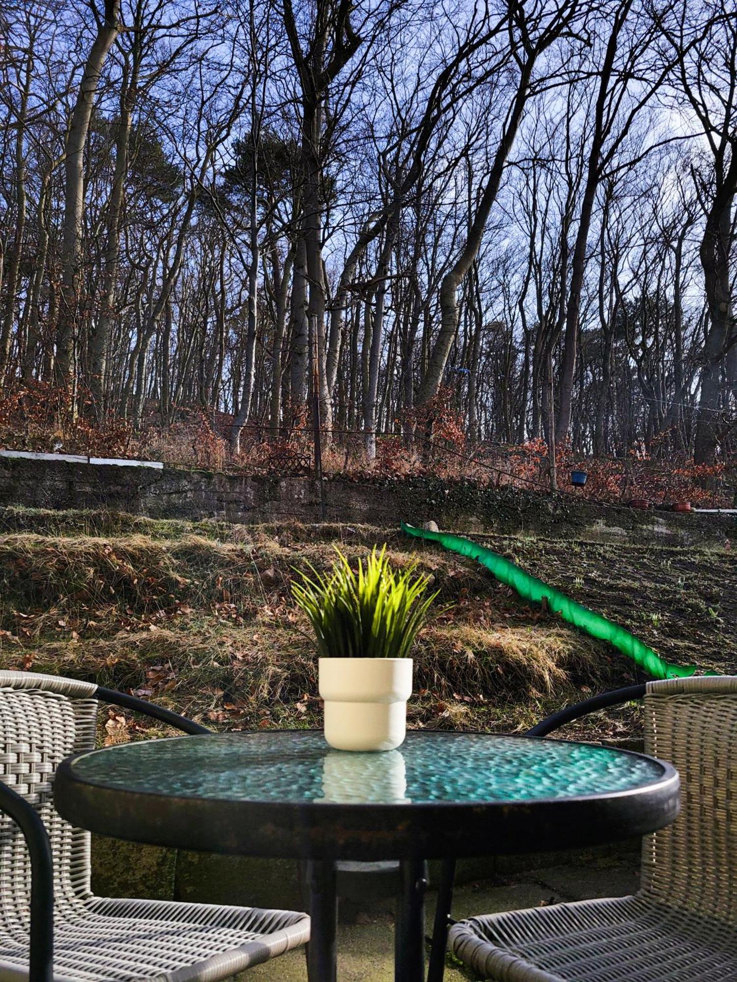 Apartament Sea&Forest Miedzyzdroje Exteriör bild